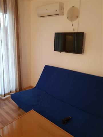 Mimoza 12.jpg