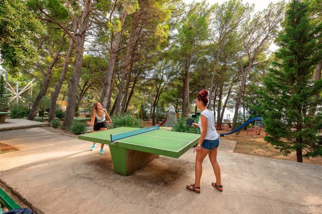 156132ff-f744-4e75-b3fe-283de58d67ba_Rivijera_Sunny_Resort_spor