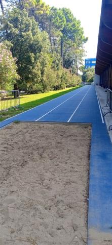 atletica salto in lungo.jpeg