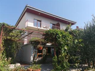 Vila Bubi