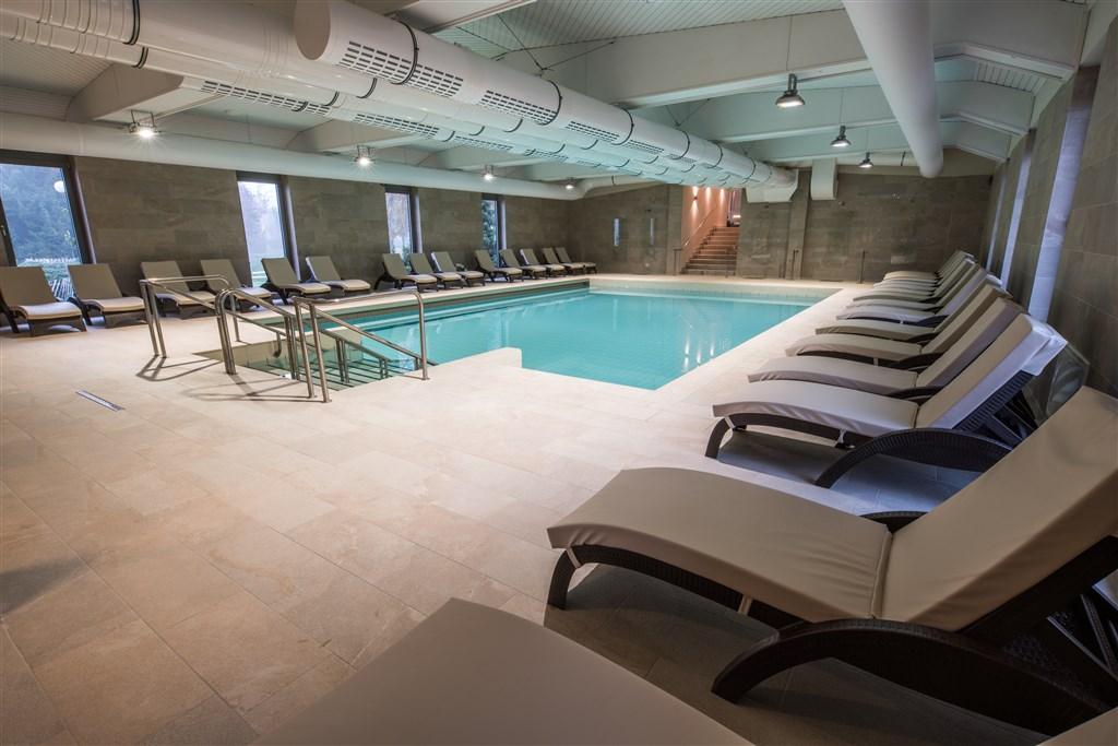 Indoor pool_01_Hotel Termal_T3000_Foto SS_11 15.jpg