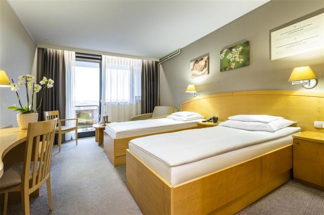 HotelAjda_Renovated_DoubleRoom_01_122021_BDobrin.jpg