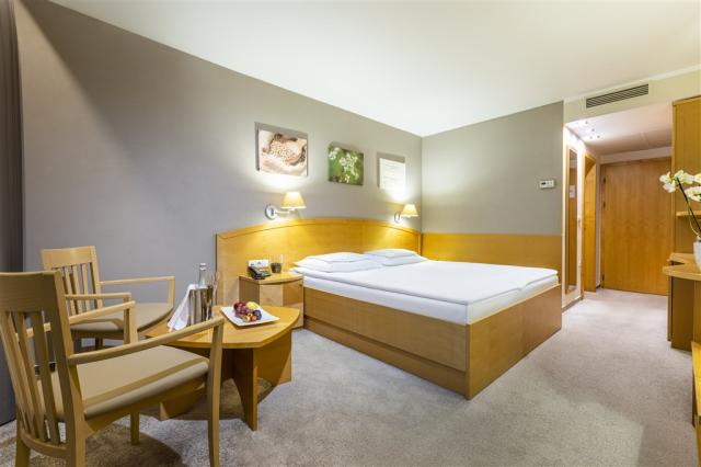 HotelAjda_Renovated_DoubleRoom_02_122021_BDobrin.jpg