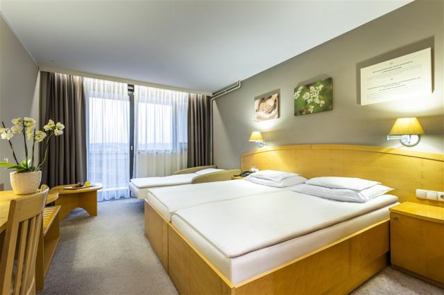 HotelAjda_Renovated_DoubleRoom_03_122021_BDobrin.jpg