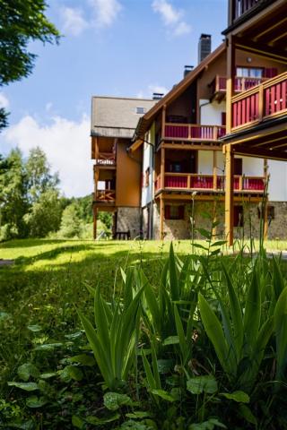 Pohorje_Village_Forest Apartent Videc(4).jpeg