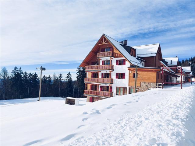 Forest Apartments Videc_Depandasa hotela Videc.jpg