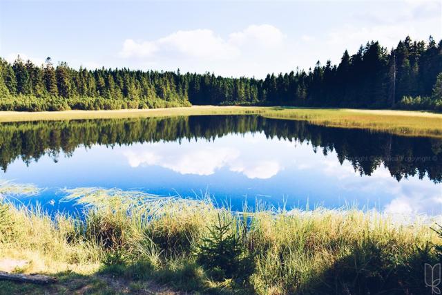 Pohorje Village Wellness & Spa Resort_ Šole v naravi.jpg