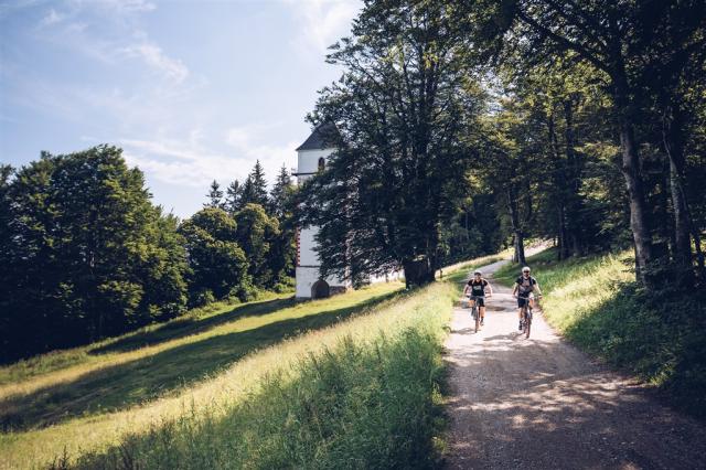 Pohorje Village Wellness & Spa Resort_Bike Park Pohorje kolesar