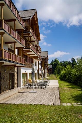 Pohorje Forest Hotel Videc(4)1.jpeg