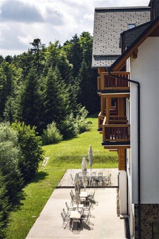 Pohorje Forest Hotel Videc(5).jpeg