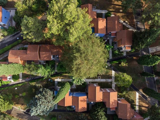 DJI_0117.jpg