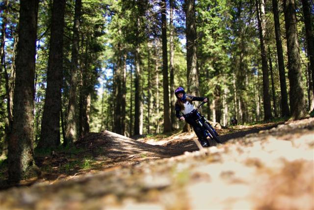 rogla_downhill_deklica_ovinek_BH.jpg