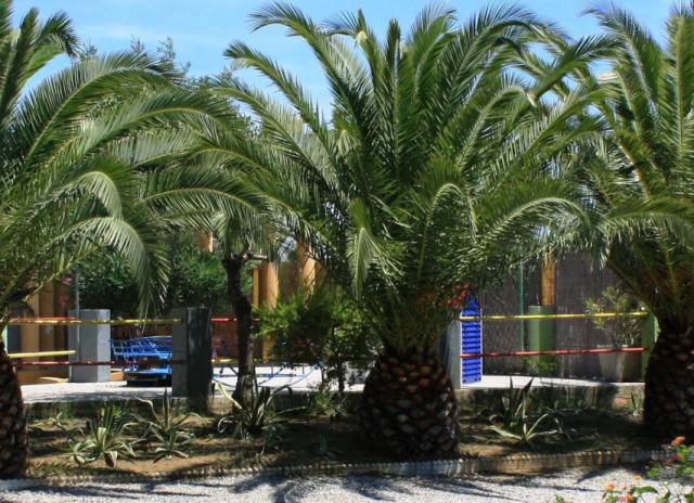Villaggio Torre Saracena - Villapiana Lido