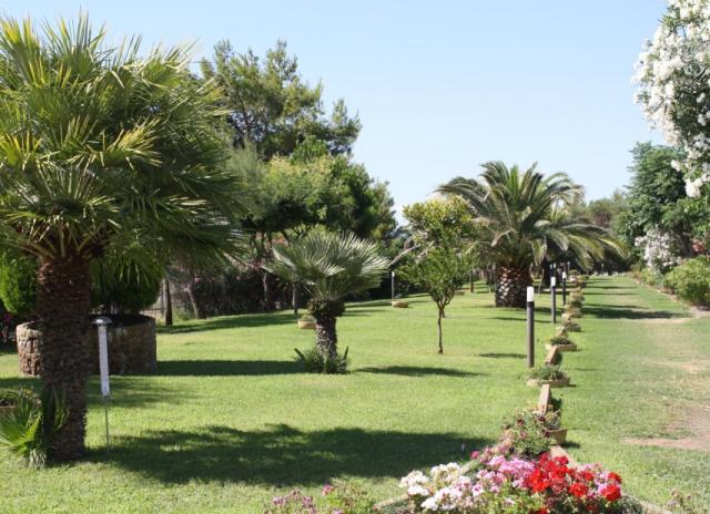 Villaggio Torre Saracena - Villapiana Lido