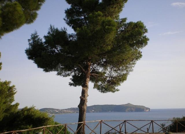 Villaggio Camping Costa del Mito - Caprioli