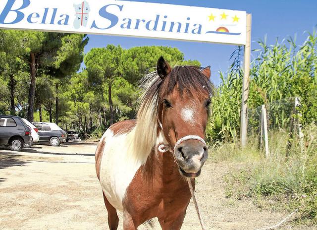 Camping Bella Sardinia - Torre del Pozzo