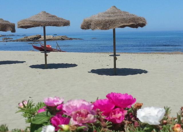 Residence Porto Corallo - Porto Corallo