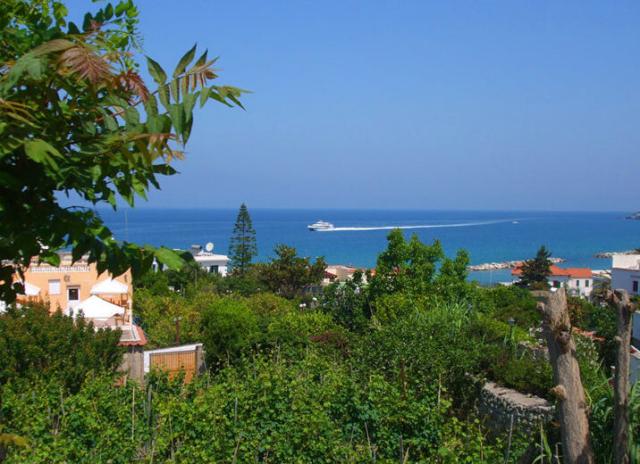 Hotel Hibiscus*** - Forio