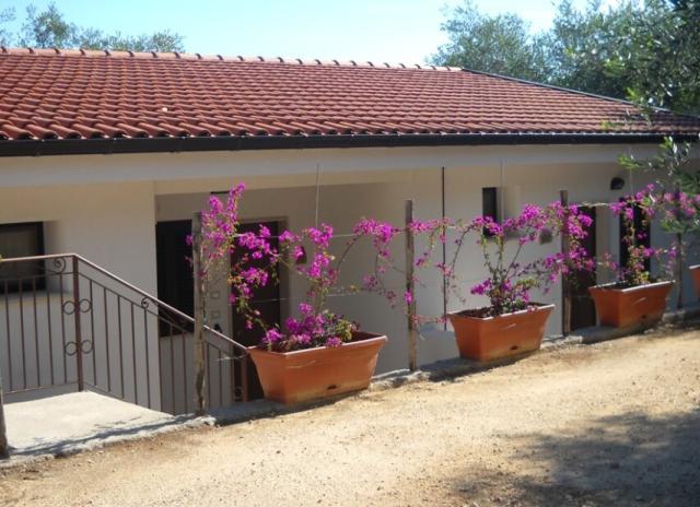 Residence Zagare - Rodi Garganico