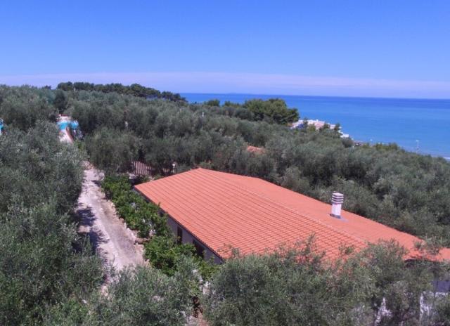 Residence Zagare - Rodi Garganico