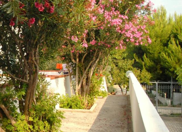 Residence Monte Pucci - Peschici