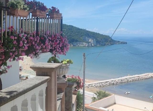 Residence Sfinal - Peschici