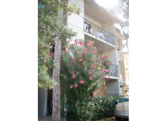 Residence Flora - Bibione Spiaggia