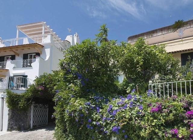 Hotel Giardino delle Ninfe e La Fenice*** - Ischia