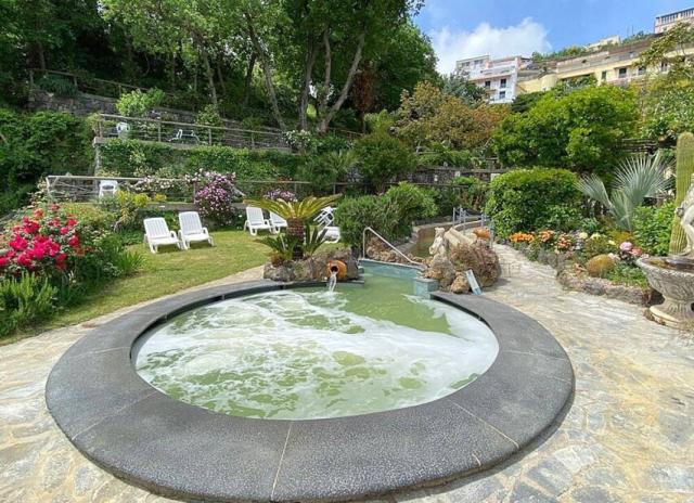 Hotel Giardino delle Ninfe e La Fenice*** - Ischia