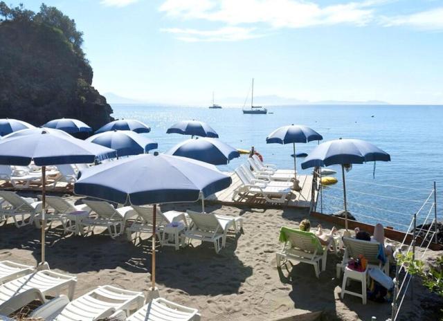 Hotel Giardino delle Ninfe e La Fenice*** - Ischia