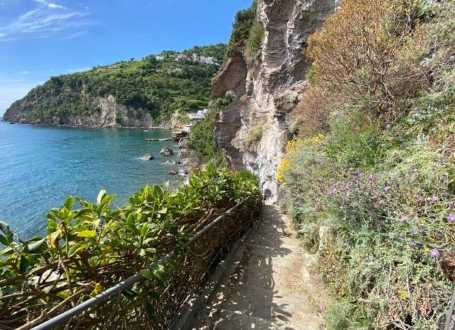 Hotel Giardino delle Ninfe e La Fenice*** - Ischia