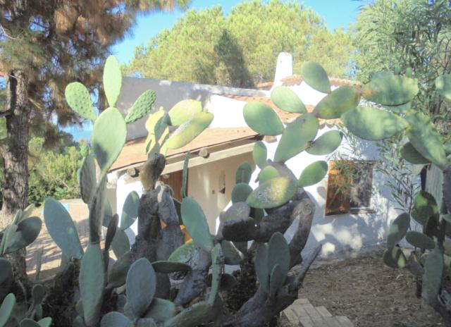 Residence Praia di Fuoco - Capo Vaticano
