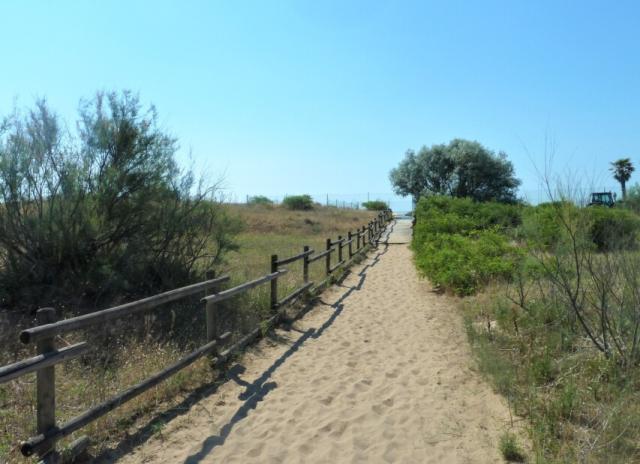 Residence Ariston - Jesolo Lido Pineta