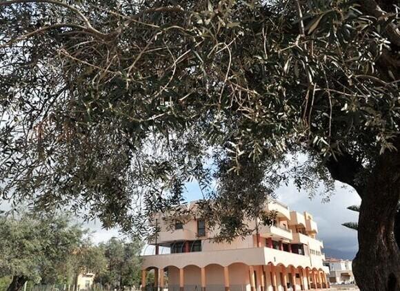 Residence Flora - Paestum