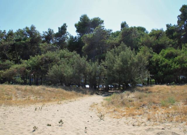 Residence Pinetina - Silvi Marina