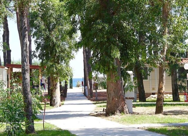Villaggio Borgo degli Ulivi - Sellia Marina