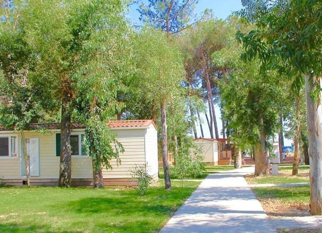 Villaggio Borgo degli Ulivi - Sellia Marina