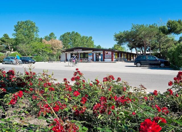 Camping Village Rosapineta*** - Rosolina Mare