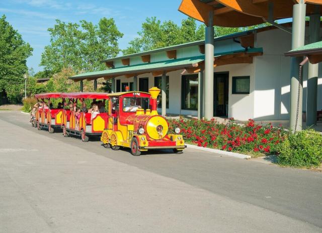 Camping Village Rosapineta*** - Rosolina Mare