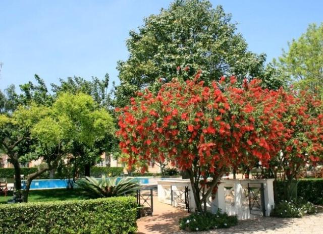 Grand Hotel Villa Irlanda**** - Gaeta