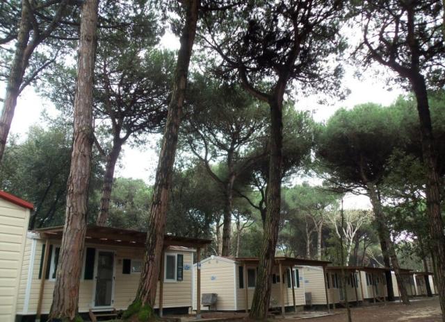 Camping Mare e Pineta - Lido di Spina
