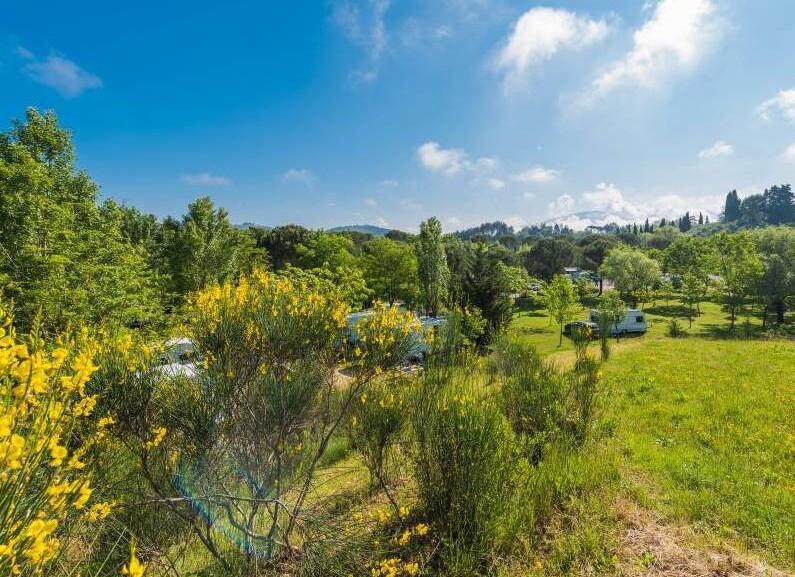 Camping Village Il Poggetto - Troghi