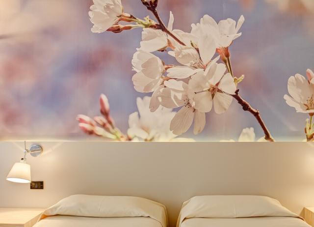 Parc hotel Gritti**** - Bardolino