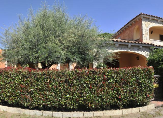 Residence Il Faro - San Teodoro