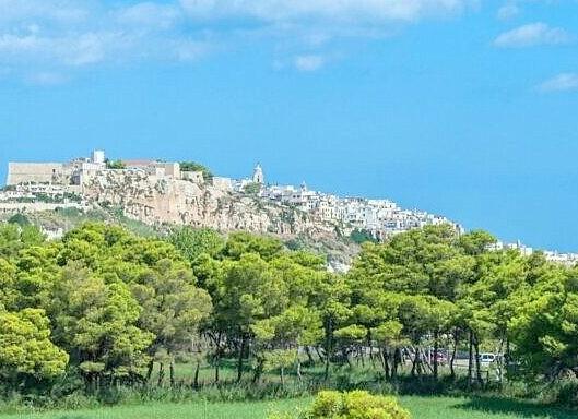 Hotel Pellegrino Palace**** - Vieste