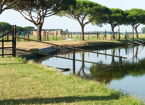 Hotel Spiaggia Romea*** - Lido delle Nazioni
