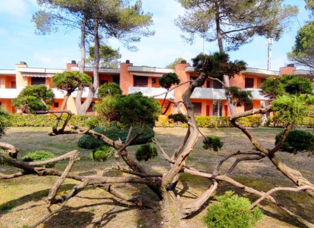 Villaggio White Star (dodavatel 3) - Bibione Terme
