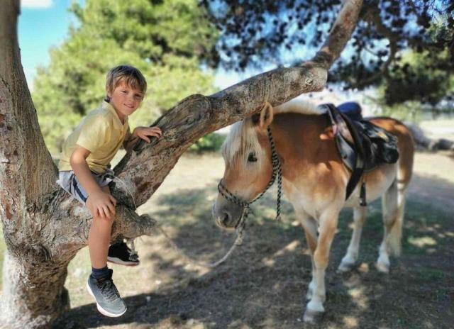Horse Country Resort & Spa**** - Arborea