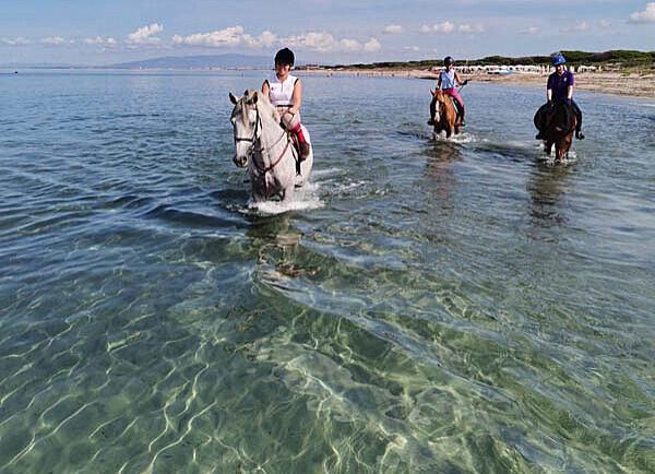 Horse Country Resort & Spa**** - Arborea