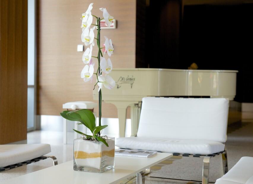 Kalidria Hotel & Thalasso SPA***** - Castellaneta Marina